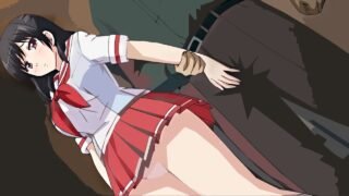 The Inuyasha Anime And Manga Series