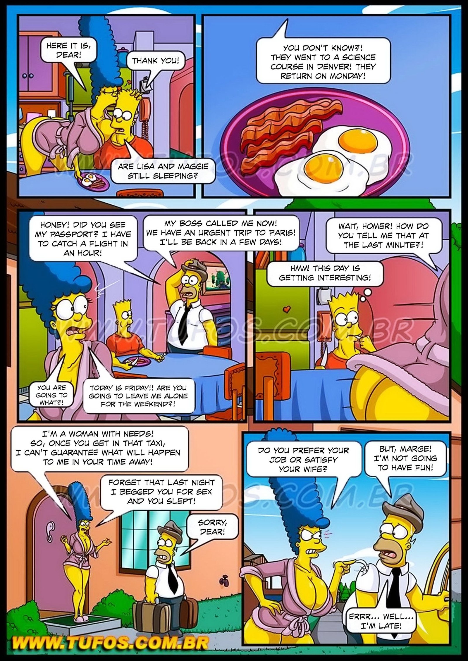 THE SIMPSONS CHAPTER  